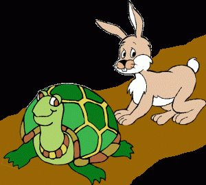 tort and hare